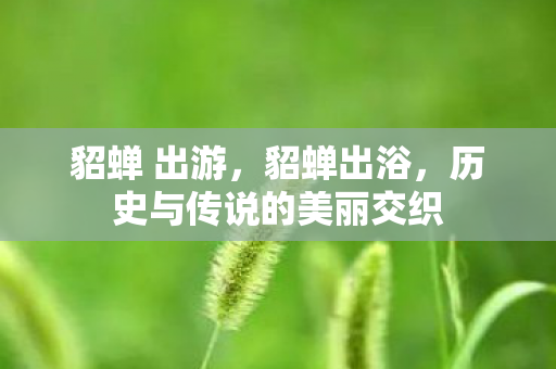 貂蝉 出游，貂蝉出浴，历史与传说的美丽交织