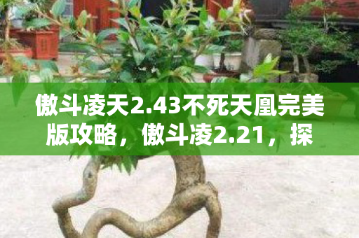 傲斗凌天2.43不死天凰完美版攻略，傲斗凌2.21，探索全新游戏世界的奇妙之旅