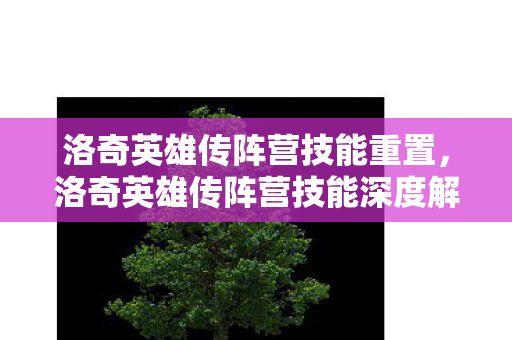 洛奇英雄传阵营技能重置，洛奇英雄传阵营技能深度解析，策略与战术的完美结合