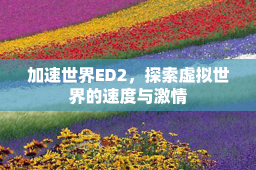 加速世界ED2,探索虚拟世界的速度与激情 加速世界ED2,探索虚拟世界的速度与激情
