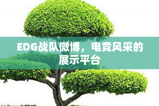 EDG战队微博,电竞风采的展示平台 EDG战队微博,电竞风采的展示平台