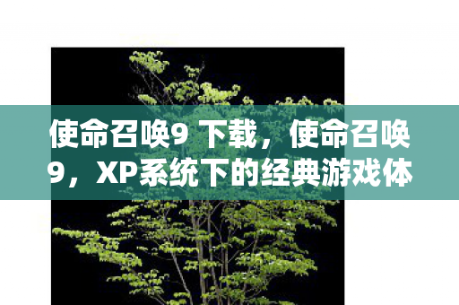 使命召唤9 下载，使命召唤9，XP系统下的经典游戏体验