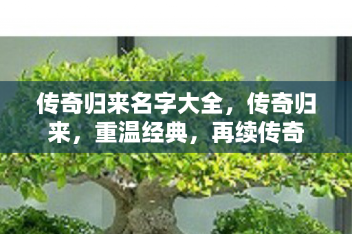 传奇归来名字大全，传奇归来，重温经典，再续传奇