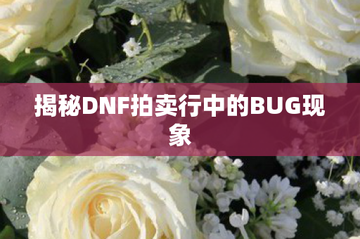 揭秘DNF拍卖行中的BUG现象