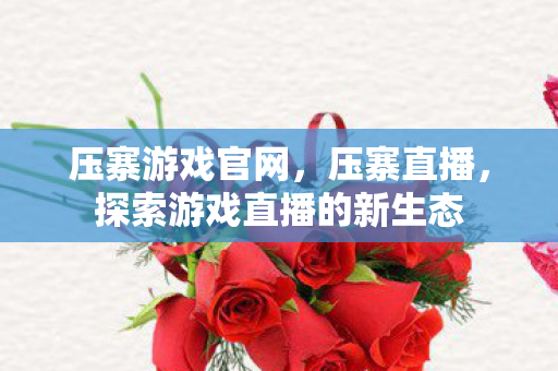 压寨游戏官网，压寨直播，探索游戏直播的新生态