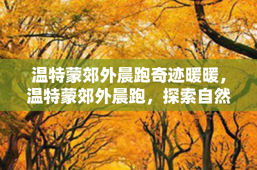 温特蒙郊外晨跑奇迹暖暖，温特蒙郊外晨跑，探索自然与内心的宁静之旅