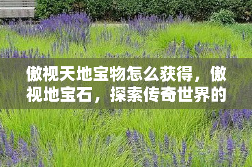 傲视天地宝物怎么获得，傲视地宝石，探索传奇世界的璀璨瑰宝