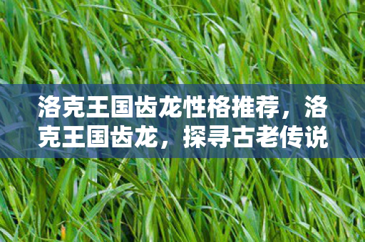 洛克王国齿龙性格推荐，洛克王国齿龙，探寻古老传说中的神秘生物