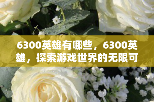 6300英雄有哪些，6300英雄，探索游戏世界的无限可能