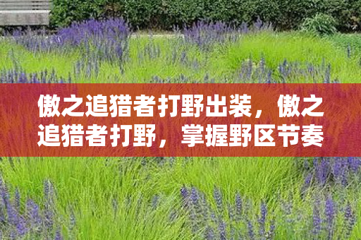 傲之追猎者打野出装，傲之追猎者打野，掌握野区节奏的艺术