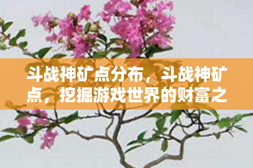 斗战神矿点分布，斗战神矿点，挖掘游戏世界的财富之源