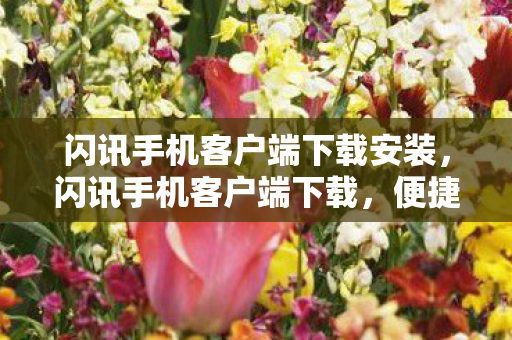 闪讯手机客户端下载安装，闪讯手机客户端下载，便捷高效的网络体验
