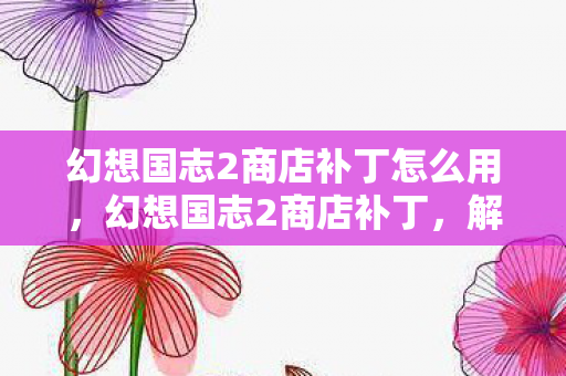 幻想国志2商店补丁怎么用，幻想国志2商店补丁，解锁全新游戏体验