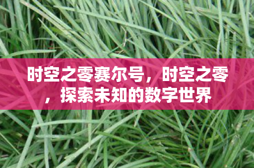 时空之零赛尔号，时空之零，探索未知的数字世界