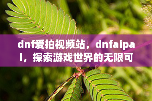 dnf爱拍视频站，dnfaipai，探索游戏世界的无限可能
