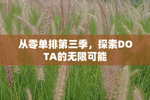从零单排第三季，探索DOTA的无限可能