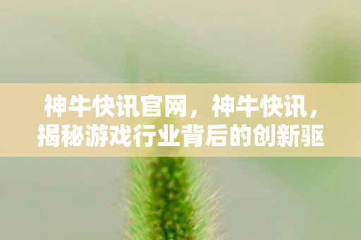 神牛快讯官网，神牛快讯，揭秘游戏行业背后的创新驱动力