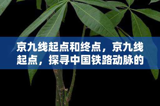 京九线起点和终点，京九线起点，探寻中国铁路动脉的起点