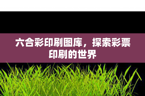 六合彩印刷图库，探索彩票印刷的世界