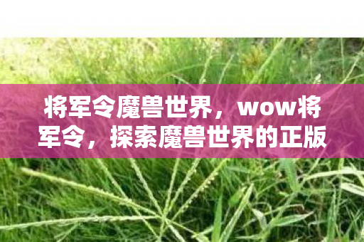 将军令魔兽世界，wow将军令，探索魔兽世界的正版魅力