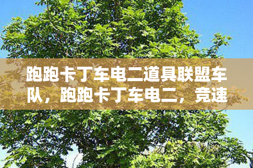 跑跑卡丁车电二道具联盟车队，跑跑卡丁车电二，竞速激情与社区文化的碰撞