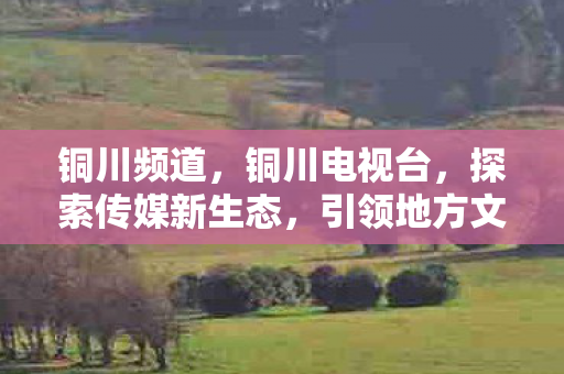 铜川频道，铜川电视台，探索传媒新生态，引领地方文化新风尚