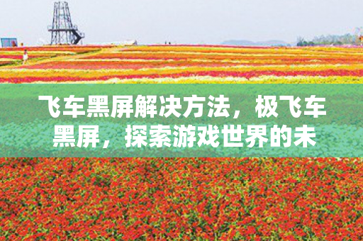 飞车黑屏解决方法，极飞车 黑屏，探索游戏世界的未知领域