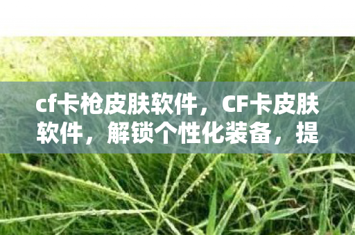 cf卡枪皮肤软件，CF卡皮肤软件，解锁个性化装备，提升游戏体验