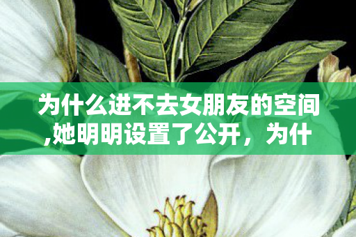 为什么进不去女朋友的空间,她明明设置了公开，为什么进不去，深度解析游戏登录难题