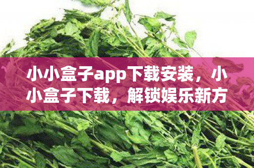 小小盒子app下载安装，小小盒子下载，解锁娱乐新方式的便捷工具