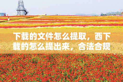 下载的文件怎么提取，西下载的怎么提出来，合法合规的下载策略