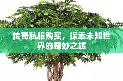 传奇私服购买，探索未知世界的奇妙之旅