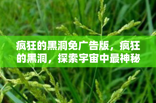 疯狂的黑洞免广告版，疯狂的黑洞，探索宇宙中最神秘的存在