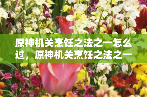 原神机关烹饪之法之一怎么过，原神机关烹饪之法之一，解锁隐藏食谱与食材的奥秘