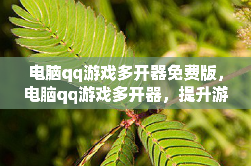 电脑qq游戏多开器免费版，电脑qq游戏多开器，提升游戏效率的神器