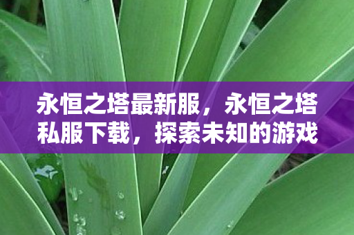 永恒之塔最新服，永恒之塔私服下载，探索未知的游戏世界