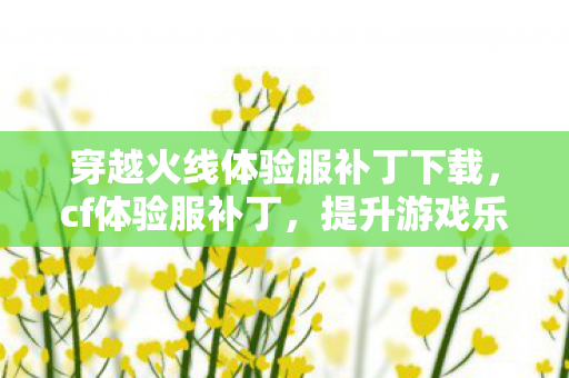 穿越火线体验服补丁下载，cf体验服补丁，提升游戏乐趣，优化游戏体验