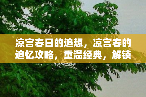 凉宫春日的追想，凉宫春的追忆攻略，重温经典，解锁隐藏剧情