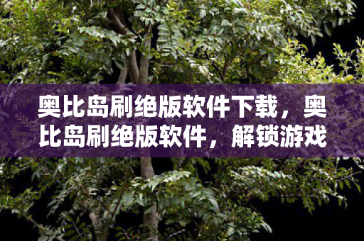奥比岛刷绝版软件下载，奥比岛刷绝版软件，解锁游戏新体验，安全合法是关键