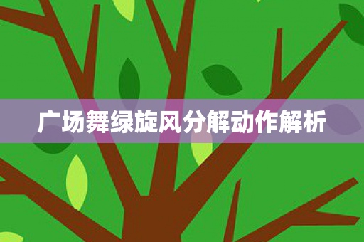 广场舞绿旋风分解动作解析