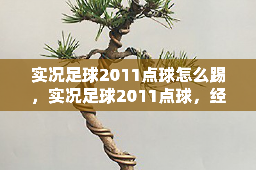 实况足球2011点球怎么踢，实况足球2011点球，经典瞬间与技巧解析