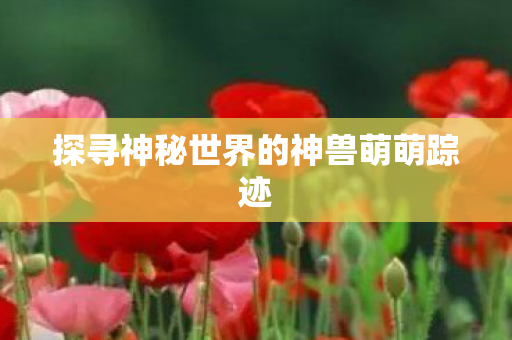 探寻神秘世界的神兽萌萌踪迹