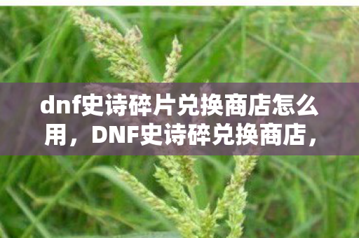 dnf史诗碎片兑换商店怎么用，DNF史诗碎兑换商店，打造你的专属神器