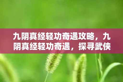 九阴真经轻功奇遇攻略，九阴真经轻功奇遇，探寻武侠世界的神秘篇章