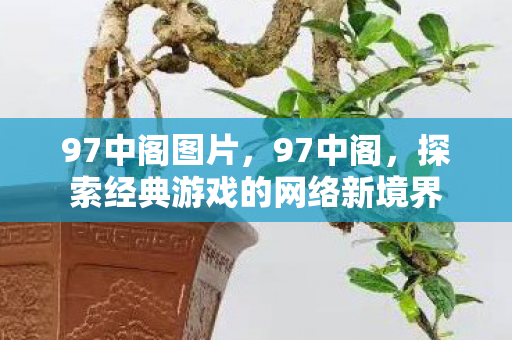 97中阁图片，97中阁，探索经典游戏的网络新境界