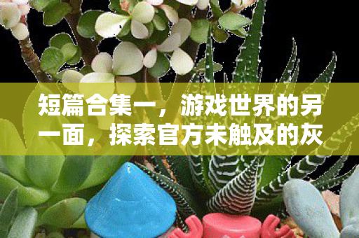 短篇合集一，游戏世界的另一面，探索官方未触及的灰色地带