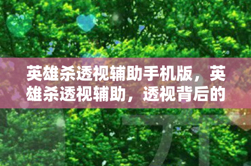 英雄杀透视辅助手机版，英雄杀透视辅助，透视背后的秘密与游戏公平性探讨