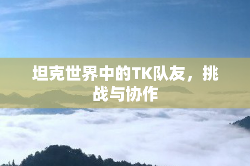 坦克世界中的TK队友，挑战与协作