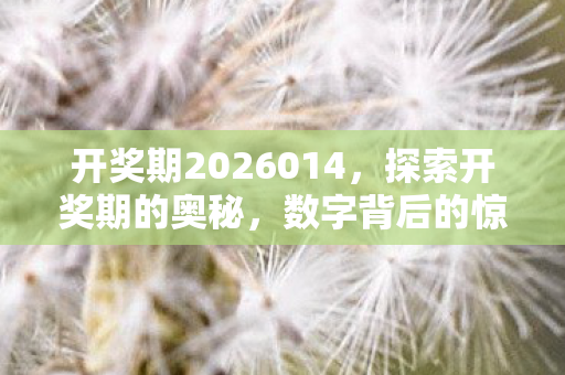 开奖期2026014，探索开奖期的奥秘，数字背后的惊喜与期待