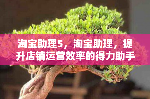 淘宝助理5，淘宝助理，提升店铺运营效率的得力助手
